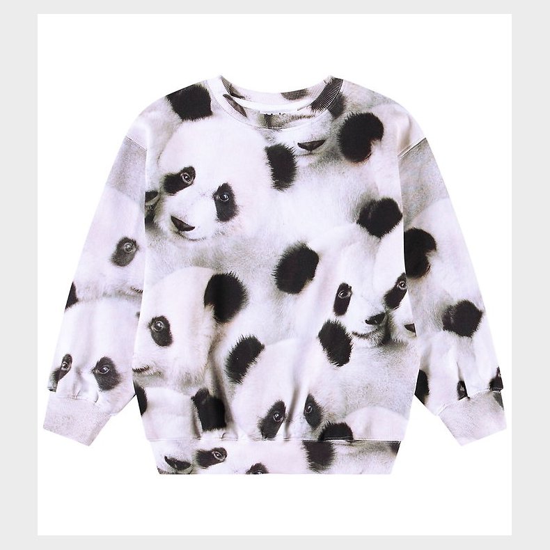 Molo Sweatshirt - Monti - Giant Panda