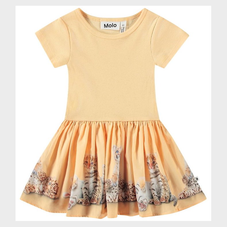 Molo Kjole - Carin - Cubs United