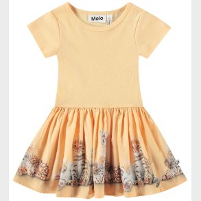 Molo Kjole - Carin - Cubs United