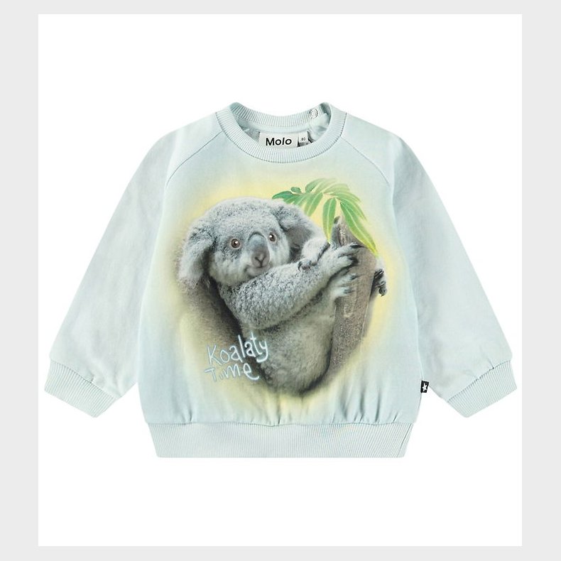 Molo Sweatshirt - Disc - Koalaty Time