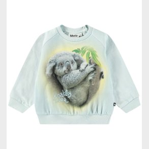 Molo Sweatshirt - Disc - Koalaty Time