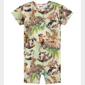 Molo Sommerdragt - Finn - Jungle Cubs