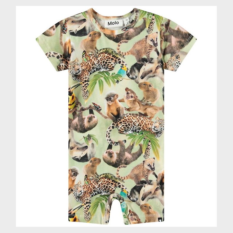 Molo Sommerdragt - Finn - Jungle Cubs