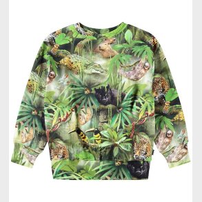 Molo Sweatshirt - Mattis - Jungle Animals