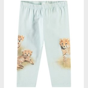 Molo Bukser - Simway - Cheetahs Cute