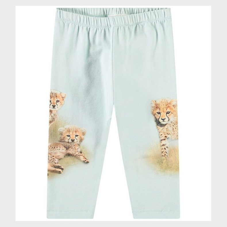 Molo Bukser - Simway - Cheetahs Cute