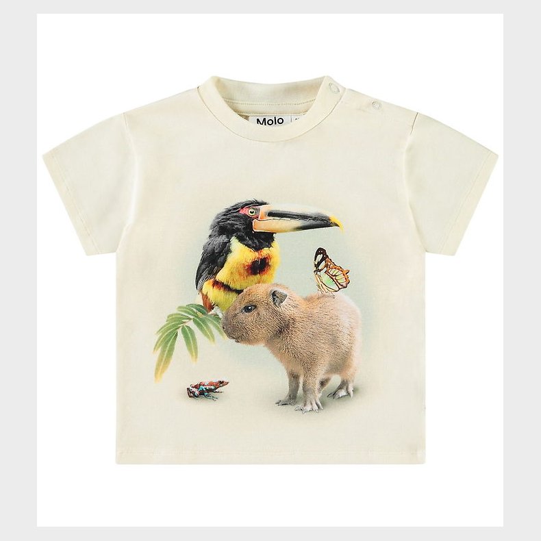 Molo T-shirt - Enzo - Jungle Friends