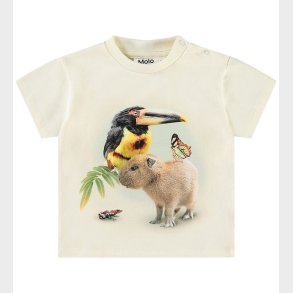 Molo T-shirt - Enzo - Jungle Friends