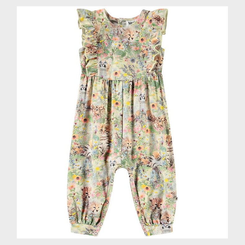 Molo Heldragt - Fallon - Meadow Cubs