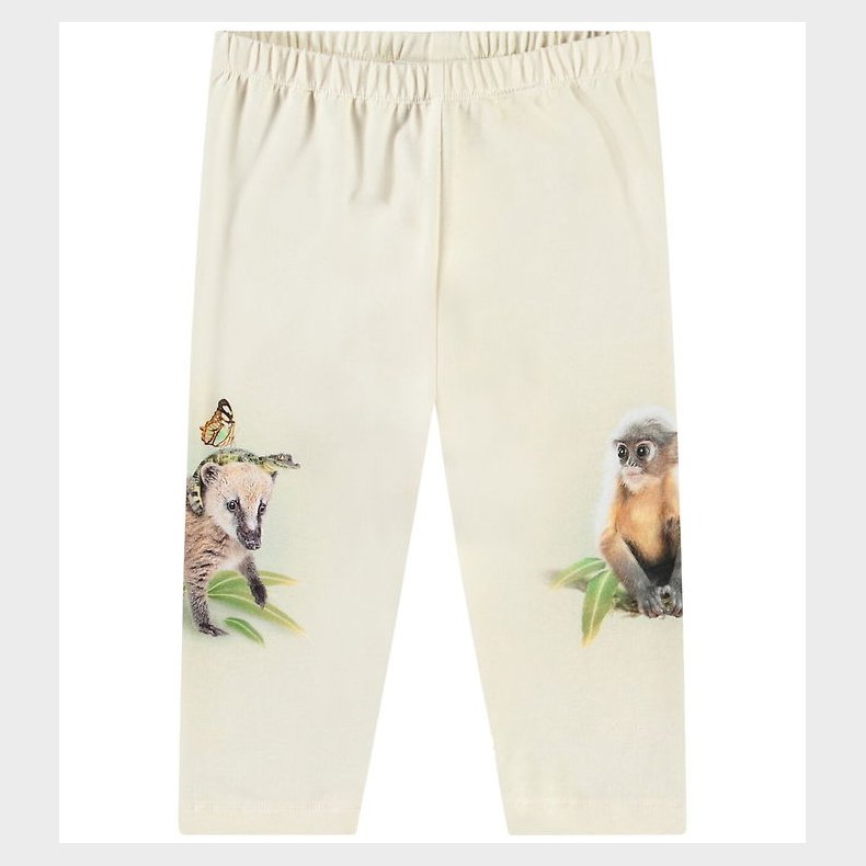 Molo Bukser - Simway - Friendly Jungle