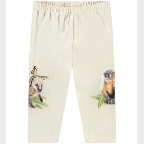 Molo Bukser - Simway - Friendly Jungle