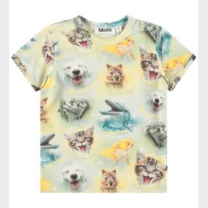 Molo T-shirt - Easy - Smiling Cubs
