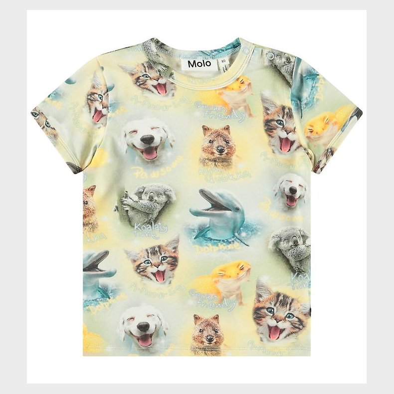 Molo T-shirt - Easy - Smiling Cubs