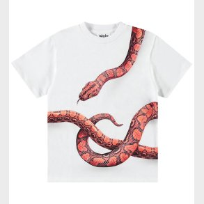 Molo T-shirt - Rubin - Red Snake