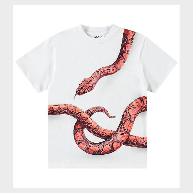 Molo T-shirt - Rubin - Red Snake