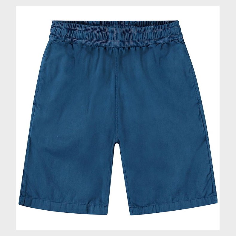 Molo Shorts - Arrow - Best Blue
