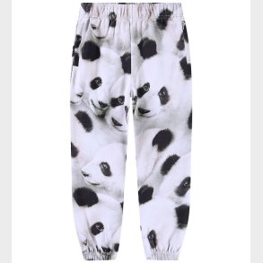 Molo Sweatpants - Adan - Giant Panda