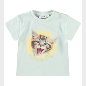 Molo T-shirt - Enzo - A-Meow-Sing