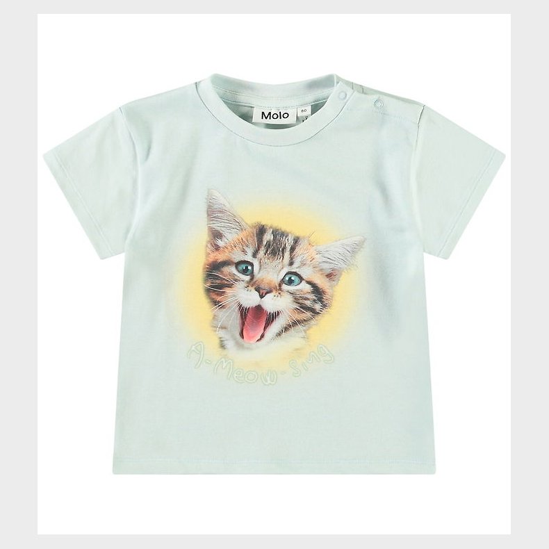 Molo T-shirt - Enzo - A-Meow-Sing