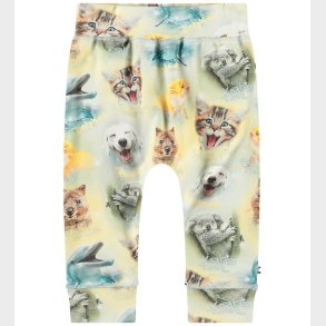 Molo Sweatpants - Sammy - Smiling Cubs