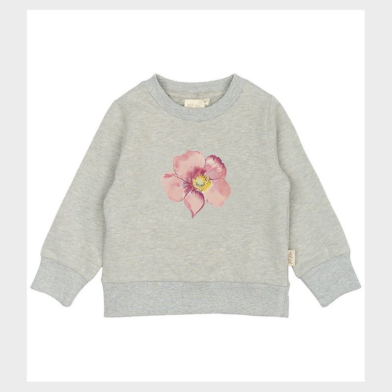 Petit Piao Sweatshirt - Autumn Anemone