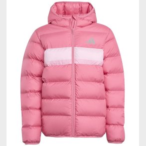 adidas Performance Dynejakke - Pink Fusion/Pink/True Pink