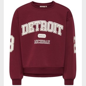 Kids Only Sweatshirt - KogVictory - Cabernet/Detroit/Cloud Dance