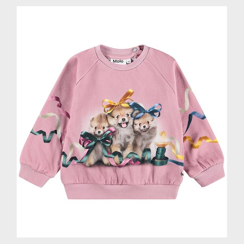 Molo Sweatshirt - Disc - Ribbon Play