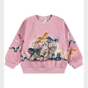 Molo Sweatshirt - Disc - Ribbon Play