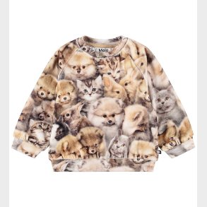 Molo Sweatshirt - Disc - Fuzzy Fluffy