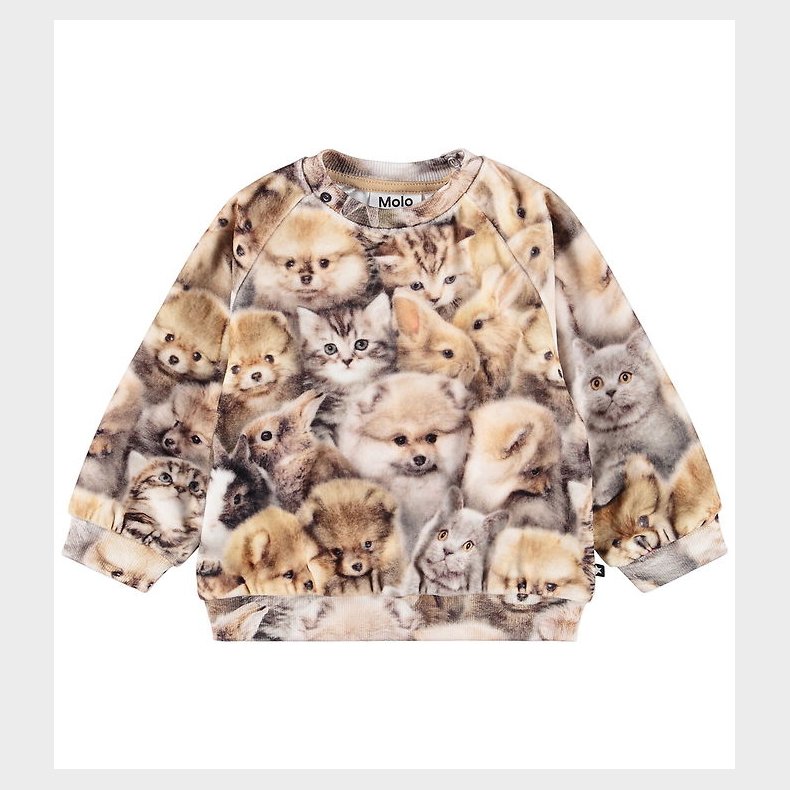 Molo Sweatshirt - Disc - Fuzzy Fluffy