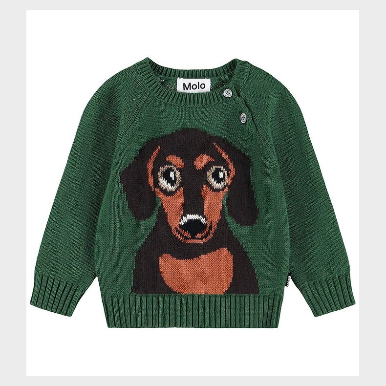 Molo Bluse - Strik - Uld/Bomuld - Dachs Puppy