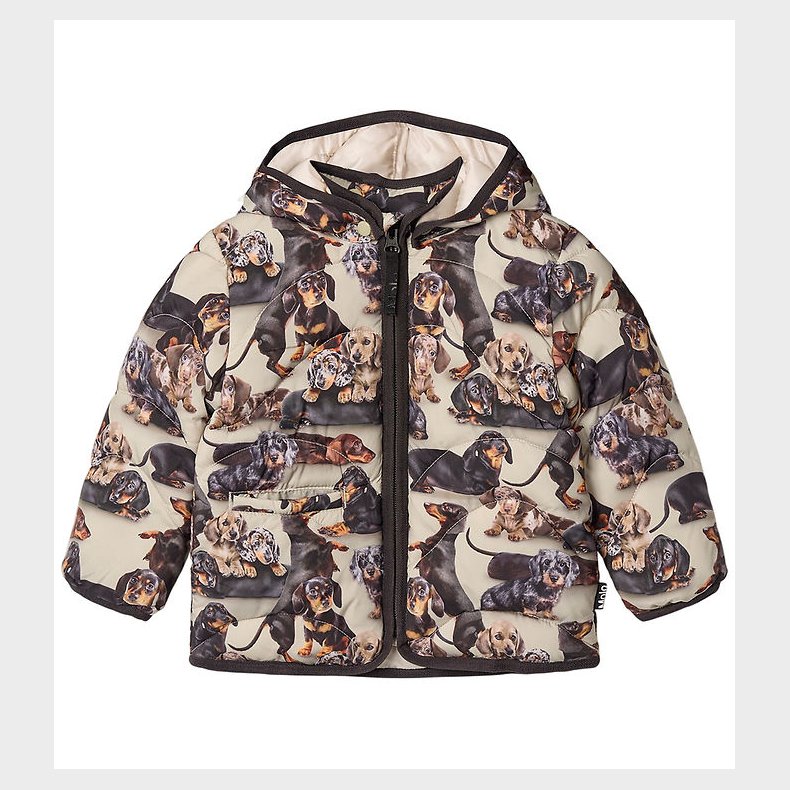 Molo Dynejakke - Harmony - Dashshund Soft