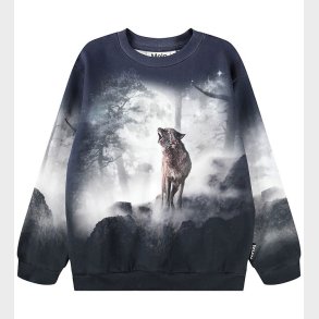 Molo Sweatshirt - Miksi - Moonlit Wolves