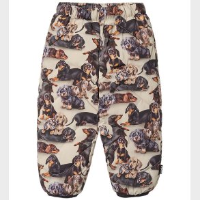 Molo Termobukser - Percy - Dashshund Soft