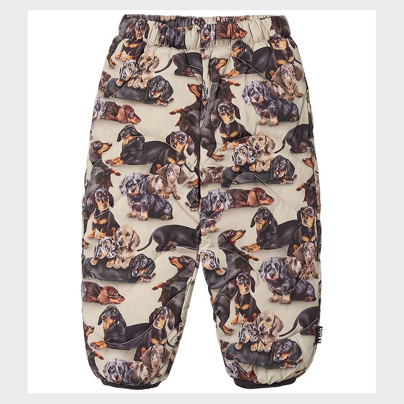 Molo Termobukser - Percy - Dashshund Soft