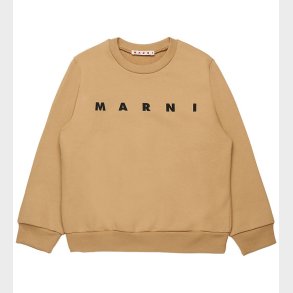 Marni Sweatshirt - Cardboard Beige