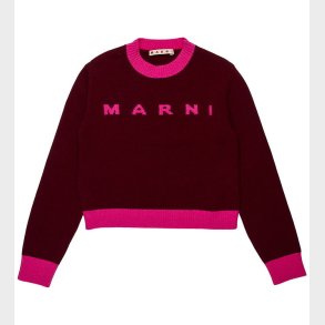 Marni Bluse - Cropped - Uld - Berry Jam