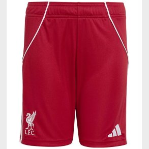 adidas Performance Shorts - Liverpool 25/26 Hjemmebane - Strred