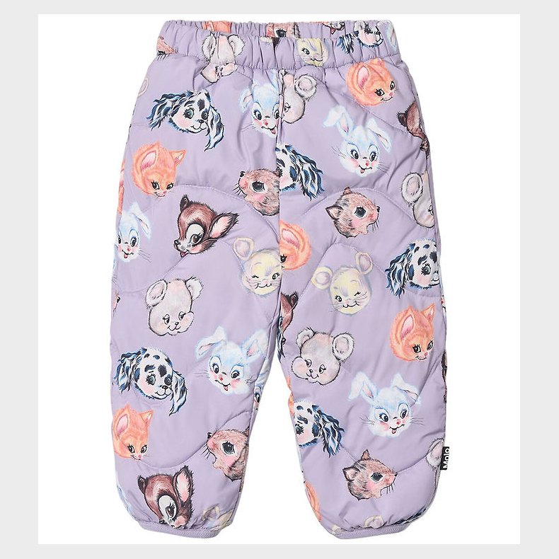 Molo Skibukser - Percy - Itty Bitty Purple