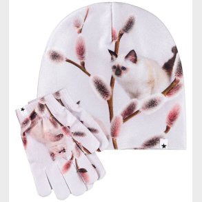 Molo Hue/Handsker - Kaya - Willow Cat