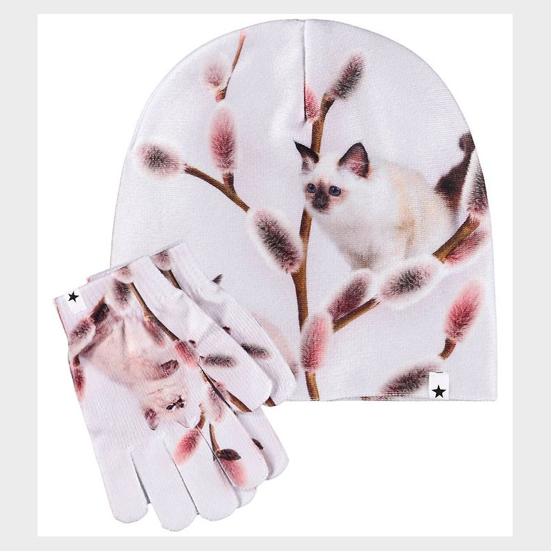Molo Hue/Handsker - Kaya - Willow Cat