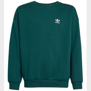 adidas Originals Sweatshirt - Aurora Ivy
