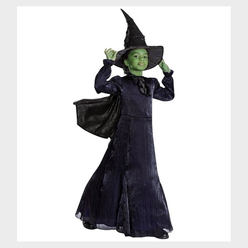 Disguise Udkldning - Wicked - Elphaba