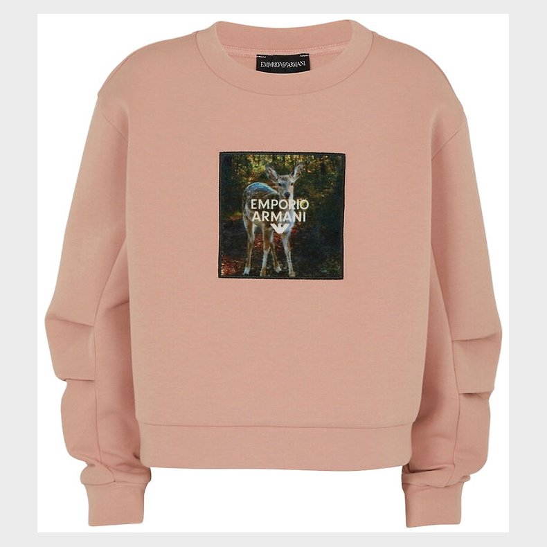 Emporio Armani Sweatshirt - Mahogany Rose