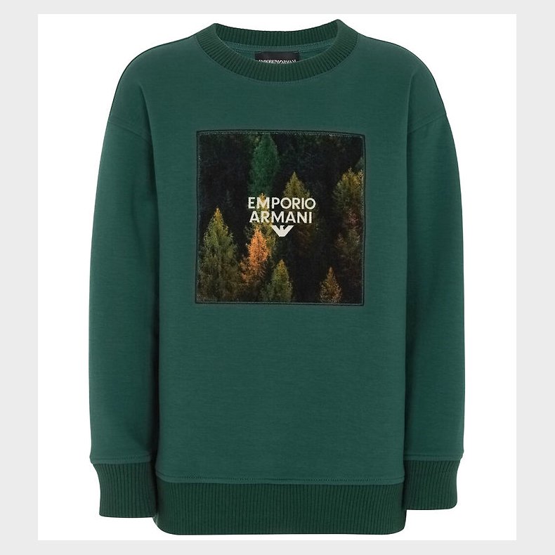 Emporio Armani Sweatshirt - June Bug