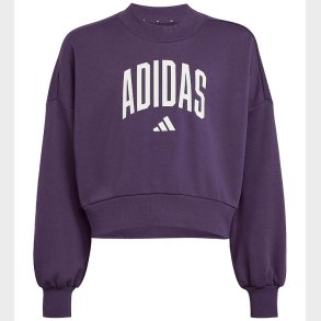 adidas Performance sweatshirt - JG Clgt - Aurplu/White