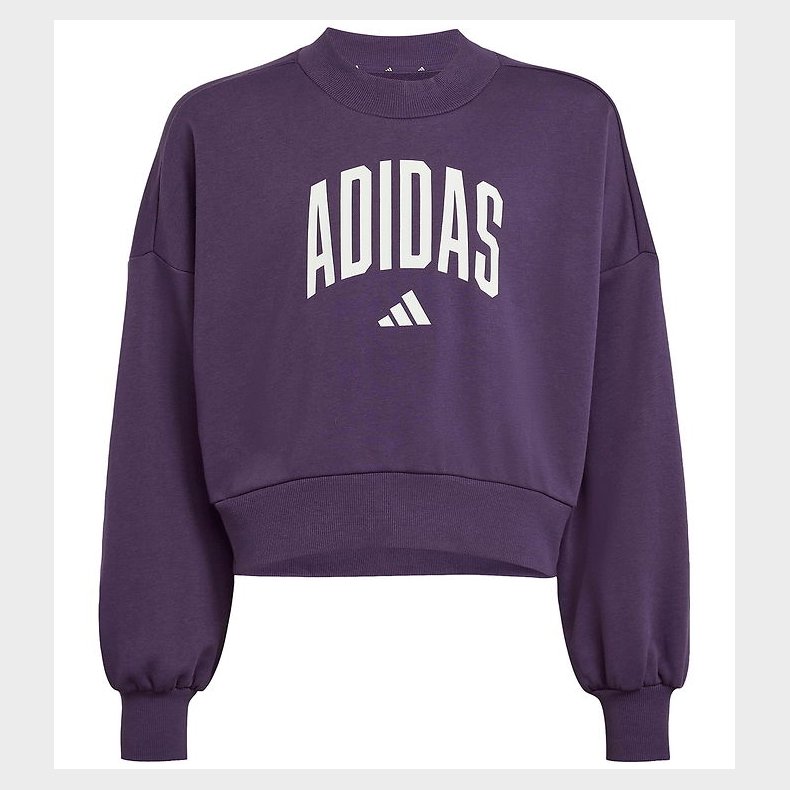 adidas Performance sweatshirt - JG Clgt - Aurplu/White