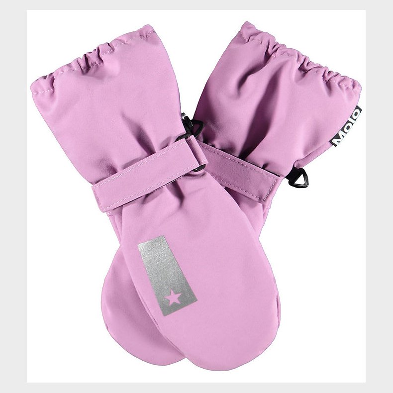 Molo Luffer - Igor - Purple Ray