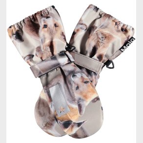 Molo Luffer - Igor - Playing Foxes